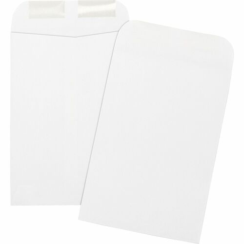 Business Source Catalog Envelopes,Plain,24lb,6-1/2"x9-1/2",500/BX,WE