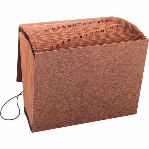 Business Source Accordion File,w/Flap,1-31,31 Pocket,Letter,12"x10",Brown