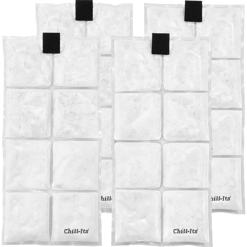 Ergodyne Cooling Pack, f/6255 Lightweight Vests, 4/ST, Clear-EGO12120
