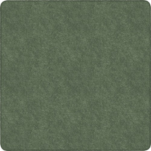 Flagship Carpets, Inc. Rug,Square,SolidColor,StainResistant,12'x12',Sage Green-FCITS70SG