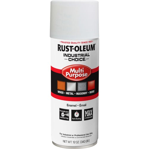 Rust-Oleum Spray Paint,Gloss,Oil-Based,Indoor/Outdoor,12 oz,WE