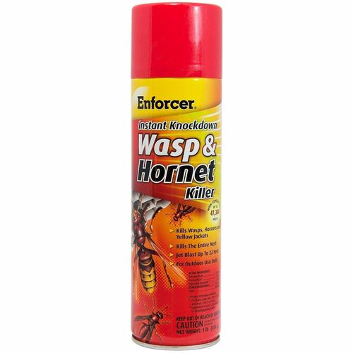 Amrep,Inc. Insecticide, f/Wasp/Hornets, 16oz, 12/CT, Clear