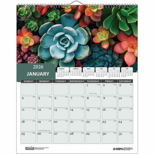 House Of Doolittle Wall Calendar,Full-Color,12Mths,Jan-Dec,Wire,11"x14",MI-HOD317