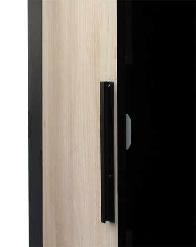 APC NetShelter CX Black Steel
