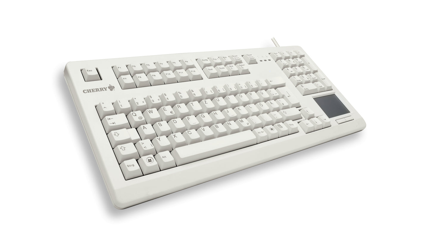 CHERRY TouchBoard G80-11900 keyboard Industrial USB QWERTY English Gray