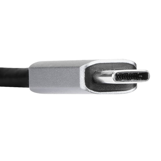 Targus ACA968GLX video cable adapter USB Type-C DisplayPort Silver