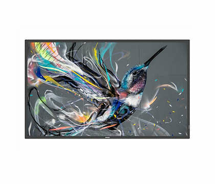 Philips 65BDL3650QE/00 signage display Digital signage flat panel 65" LCD Wi-Fi 300 cd/m² 4K Ultra HD Black Built-in processor Android 10 18/7