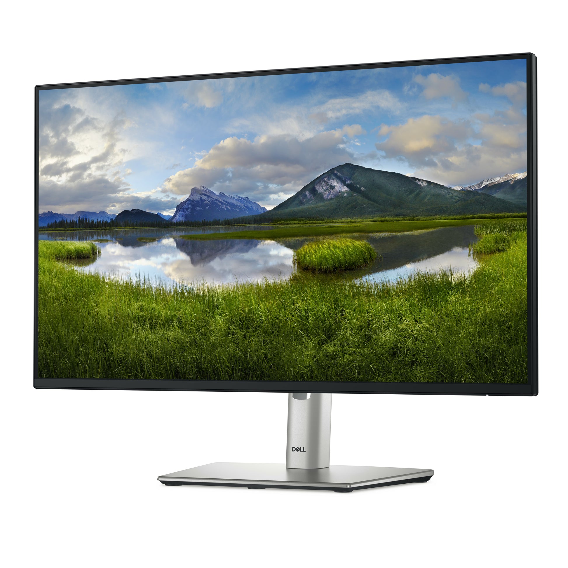 DELL Pro Plus P2425H computer monitor 23.8" 1920 x 1080 pixels Full HD LCD Black