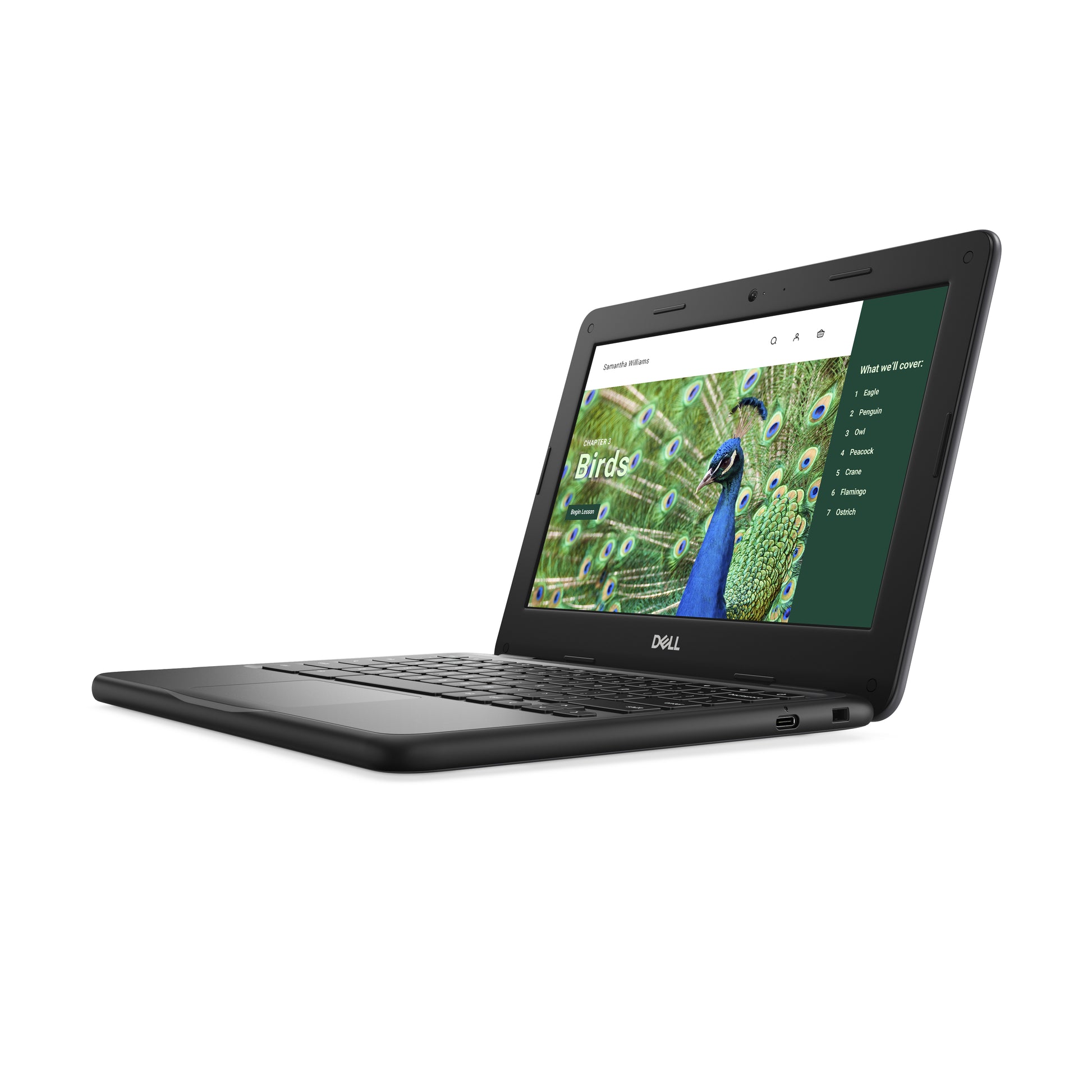 DELL Chromebook 3120 Intel® N N100 11.6" Touchscreen HD 4 GB 64 GB Flash Wi-Fi 6 (802.11ax) ChromeOS Black