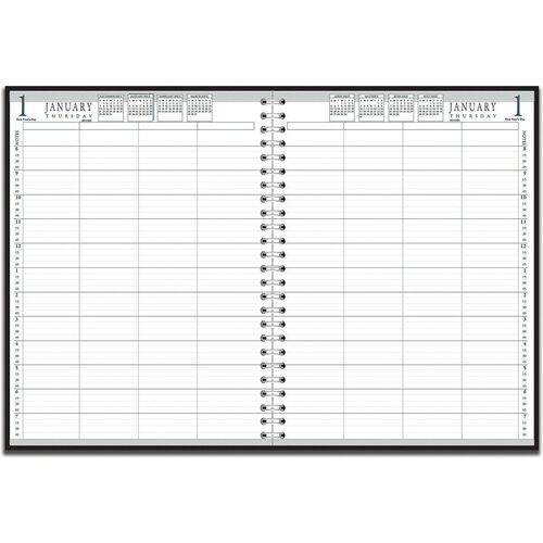 House Of Doolittle  Daily Appointment Book, 12 Months, Jan-Dec, 8"x11", 2/BX, BK-HOD28102