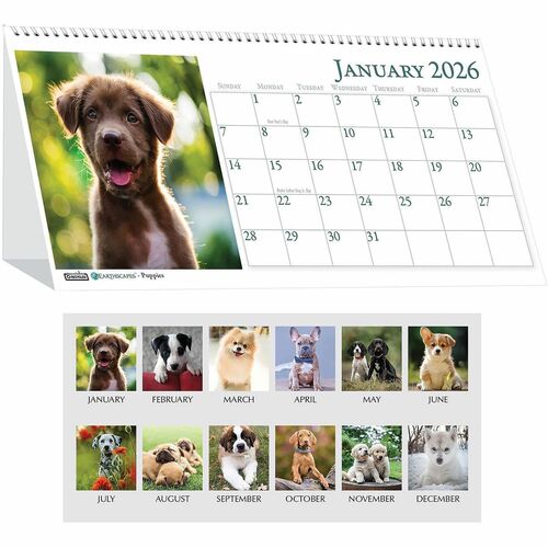House Of Doolittle  Tent Calendar,Desktop,12 Mth,Jan-Dec,8-1/2"x4-1/4",Puppies-HOD3659