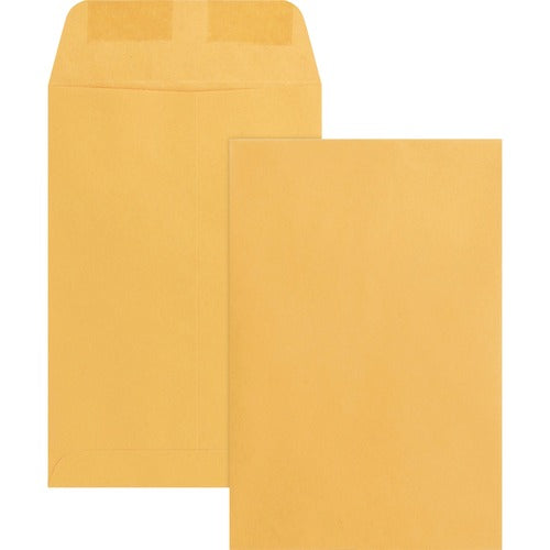 Business Source  Catalog Envelopes, 24 lb, 6"x9", 500/BX, Kraft