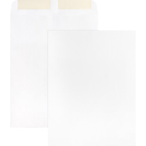 Business Source  Catalog Envelopes, Plain, 28Lb., 9"x12", 250/BX, WE