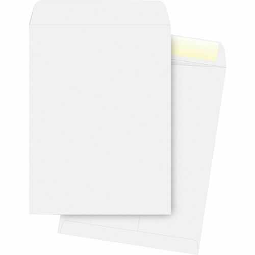 Business Source  Catalog Envelopes, Plain, 28Lb., 10"x13", 250/BX, WE
