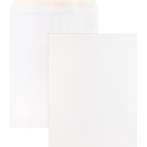 Business Source  Catalog Envelopes,Self Seal,10"x13", 100/BX,WE Wove