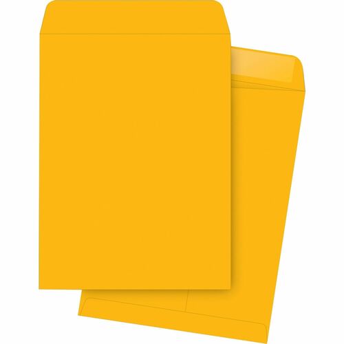 Business Source  Catalog Envelopes, Plain, 11-1/2"x14-1/2", 250/BX, Kraft