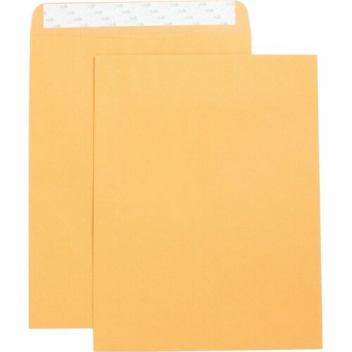 Business Source  Catalog Envelopes,Self Seal,Plain,10"x13",250/BX,Kraft