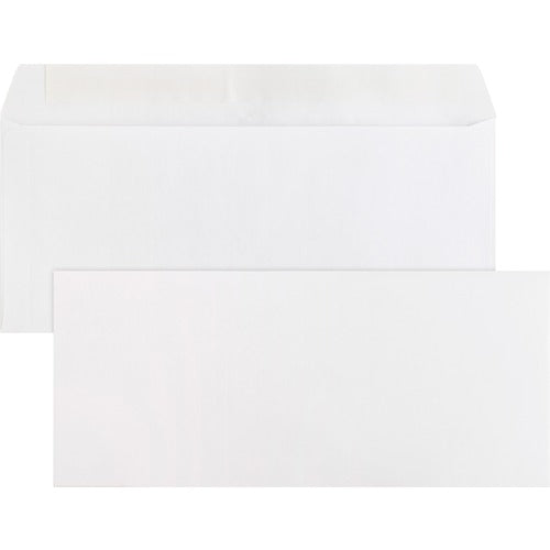 Business Source  Peel/Seal Envelopes,Plain,No. 10, 4-1/2"x9-1/2",500/BX, WE