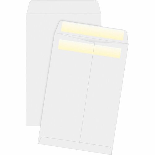 Business Source  Press/Seal Catalog Envelopes, 28lb, 6"x9", 100/BX, WE Wove