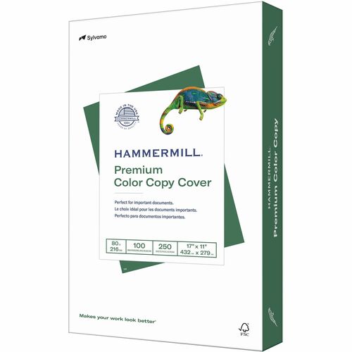 Hammermill  Paper,Cover,80 lb,100 Bright,17"x11",250 SH/RM,White-HAM120037