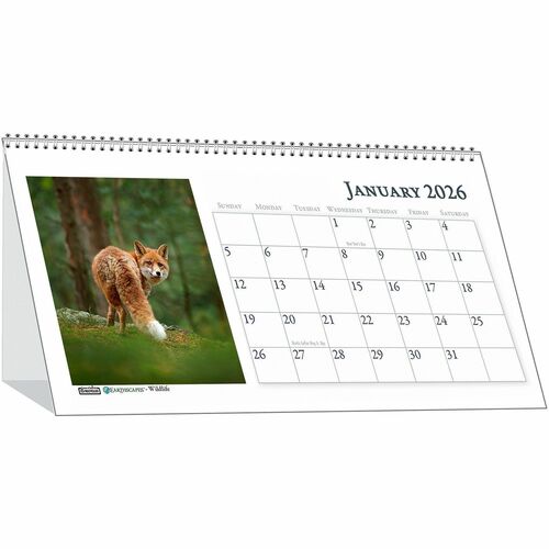 House Of Doolittle  Tent Desk Calendar,Monthly,8-1/2"x4-1/2",Wirebound,Wildlife-HOD3689