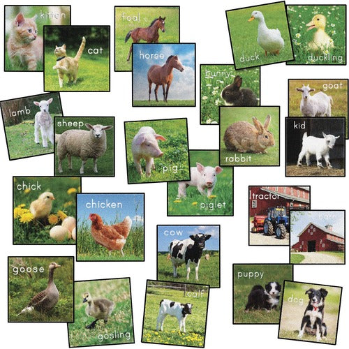 Flagship Carpets, Inc.  Rug Seating Squares, Barn Animals, 16"Wx16"Lx1/2"H, Multi-FCIFA1004S24FS