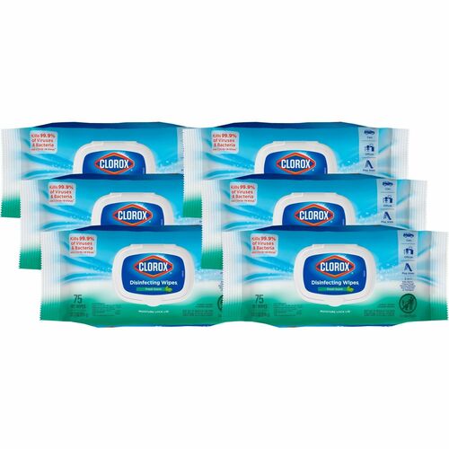 Clorox Company  Disinfecting Wipes, Fresh Scent, 75 Wipes, 600/PL, White