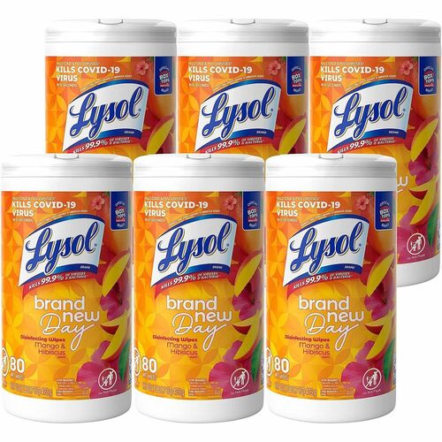 Reckitt Benckiser  Disinfecting Wipes, Brand New Day, 80Sht/Can, 6 Can/CT, WE