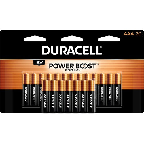 Duracell U.S.A.  Batteries, AAA, Alkaline, 20/PK, 12PK/CT, Gold/Black-DURMN2400B20CT