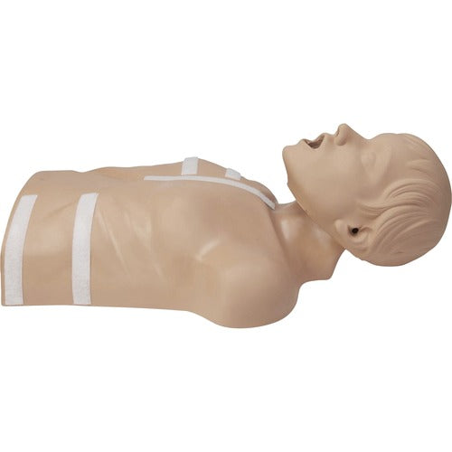 Zoll Medical Corp  Mannequin,f/AED 3/CPR Training,Torso,Removable Head