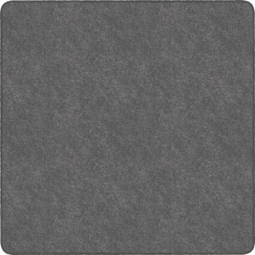 Flagship Carpets, Inc.  Rug,Square,SolidColor,StainResistant,6'x6',Gray-FCITS26GY