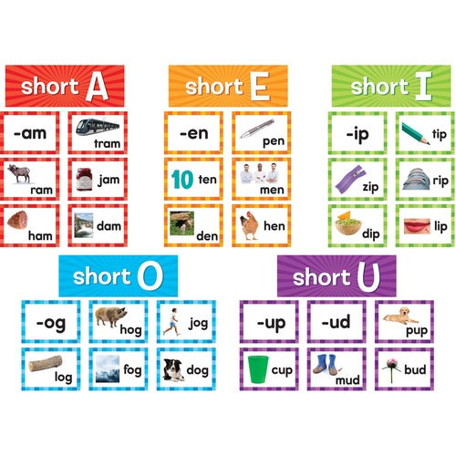 Teacher Created Resources  Chart Cards,Short Vowels,205 Pieces,3-1/4"x4-1/2",Multi
