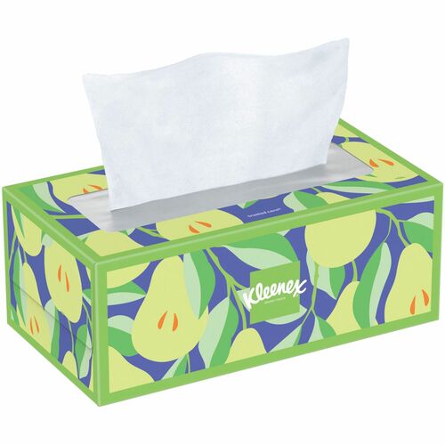 Kimberly-Clark Professional  Facial Tissues,2-ply,8-1/5"x8-2/5",160/Box,24BX/CT,WE