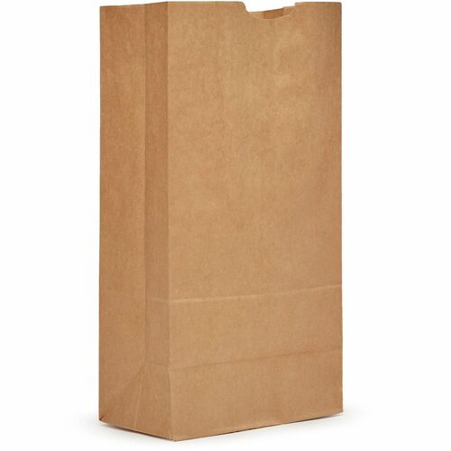 Ajm Packaging Corporation  Bags,f/Groceries,No. 20,Paper,Tall,XtraHvyDty,500/CT,NLKraft