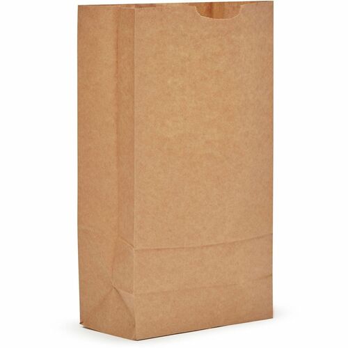 Ajm Packaging Corporation  Bags,f/Groceries,No. 10,Paper,SelfStand,500/CT,NaturalKraft