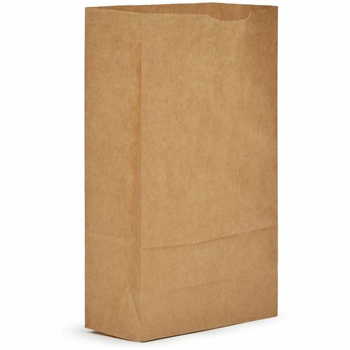 Ajm Packaging Corporation  Bags,f/Groceries,No. 6,Paper,SelfStand,500/CT,Natural Kraft