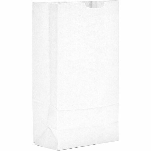 Ajm Packaging Corporation  Bags,f/Groceries,No. 10,Paper,SelfStand,500/CT,BleachedKraft