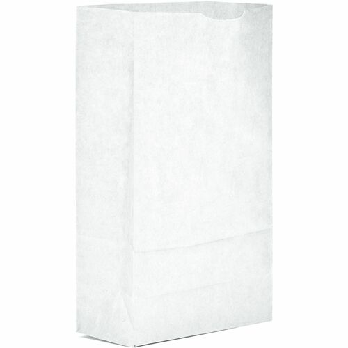 Ajm Packaging Corporation  Bags,f/Groceries,No. 6,Paper,SelfStand,500/CT,Bleached Kraft