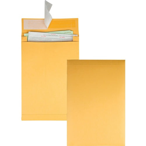 Quality Park  Envelopes, 2" Exp, Redi-Strip, 40Lb, 10"x13", 25/PK,Kraft