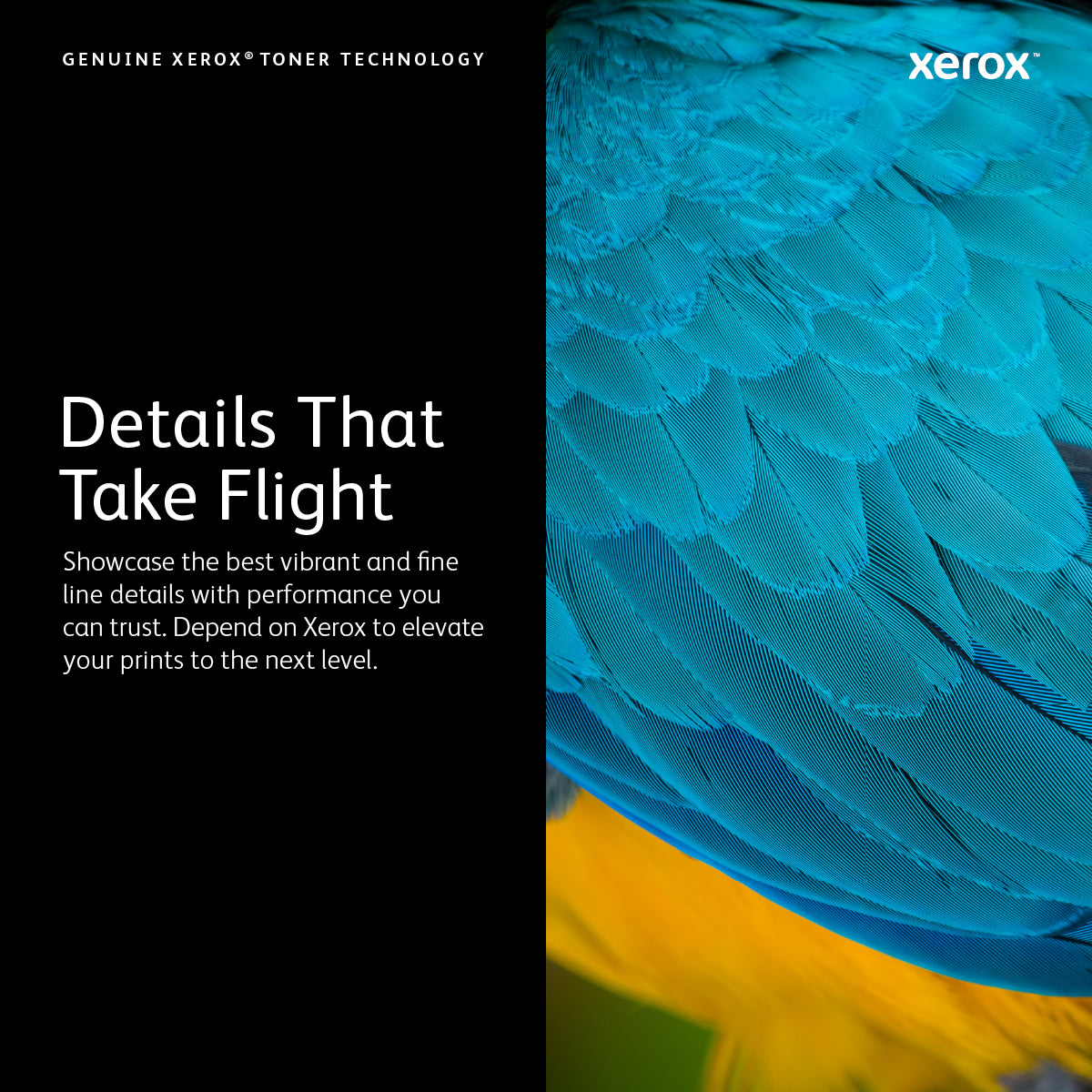 Xerox 006R01794 toner cartridge 1 pc(s) Original Yellow