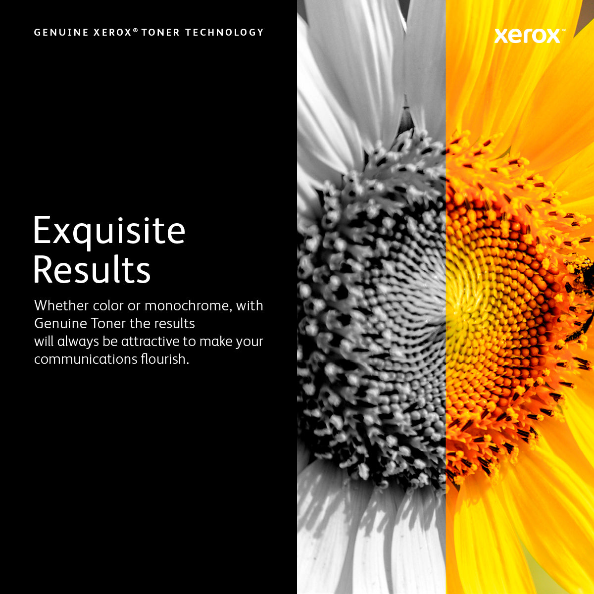 Xerox 106R02775 toner cartridge 1 pc(s) Original Black