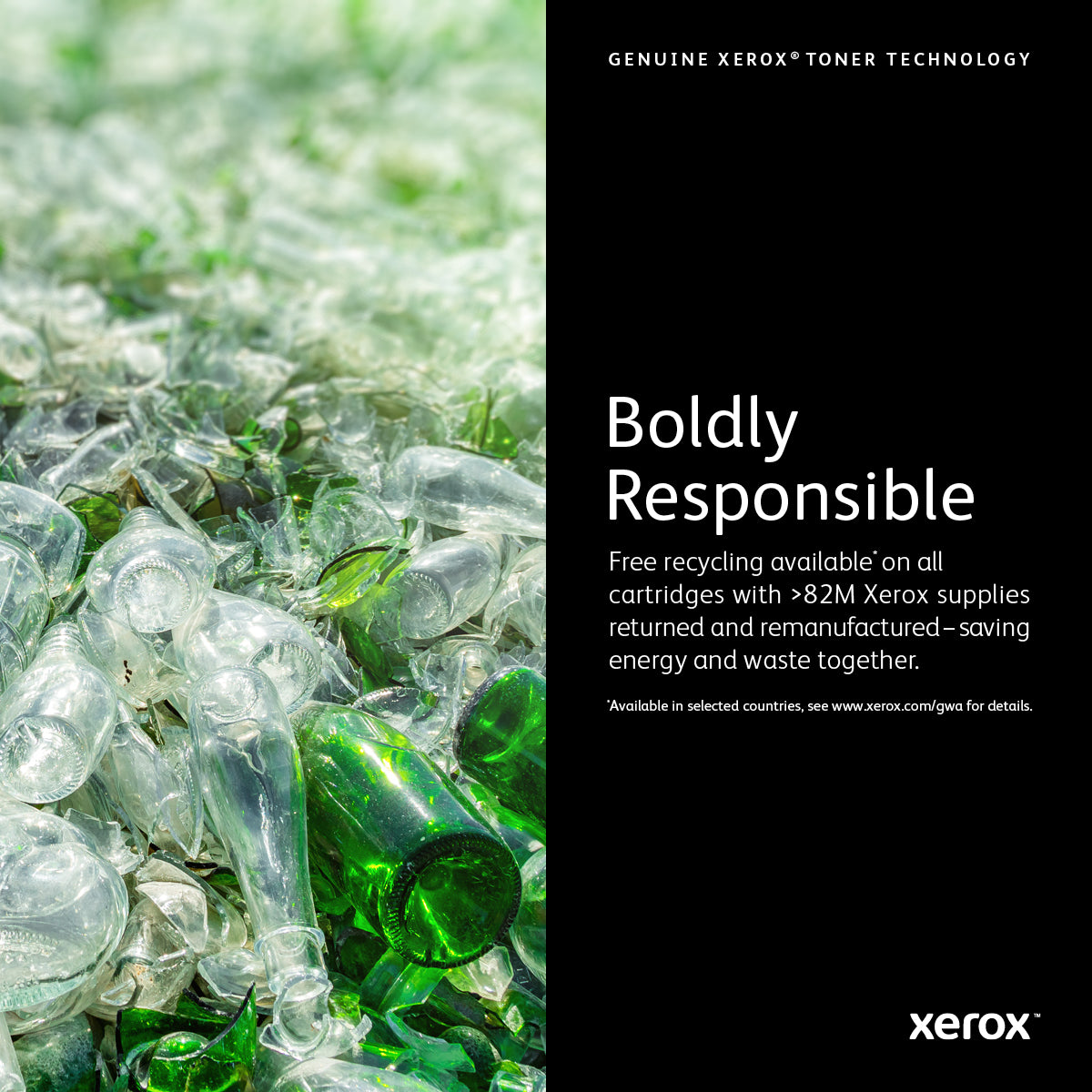 Xerox 113R00779 toner cartridge 1 pc(s) Original Black