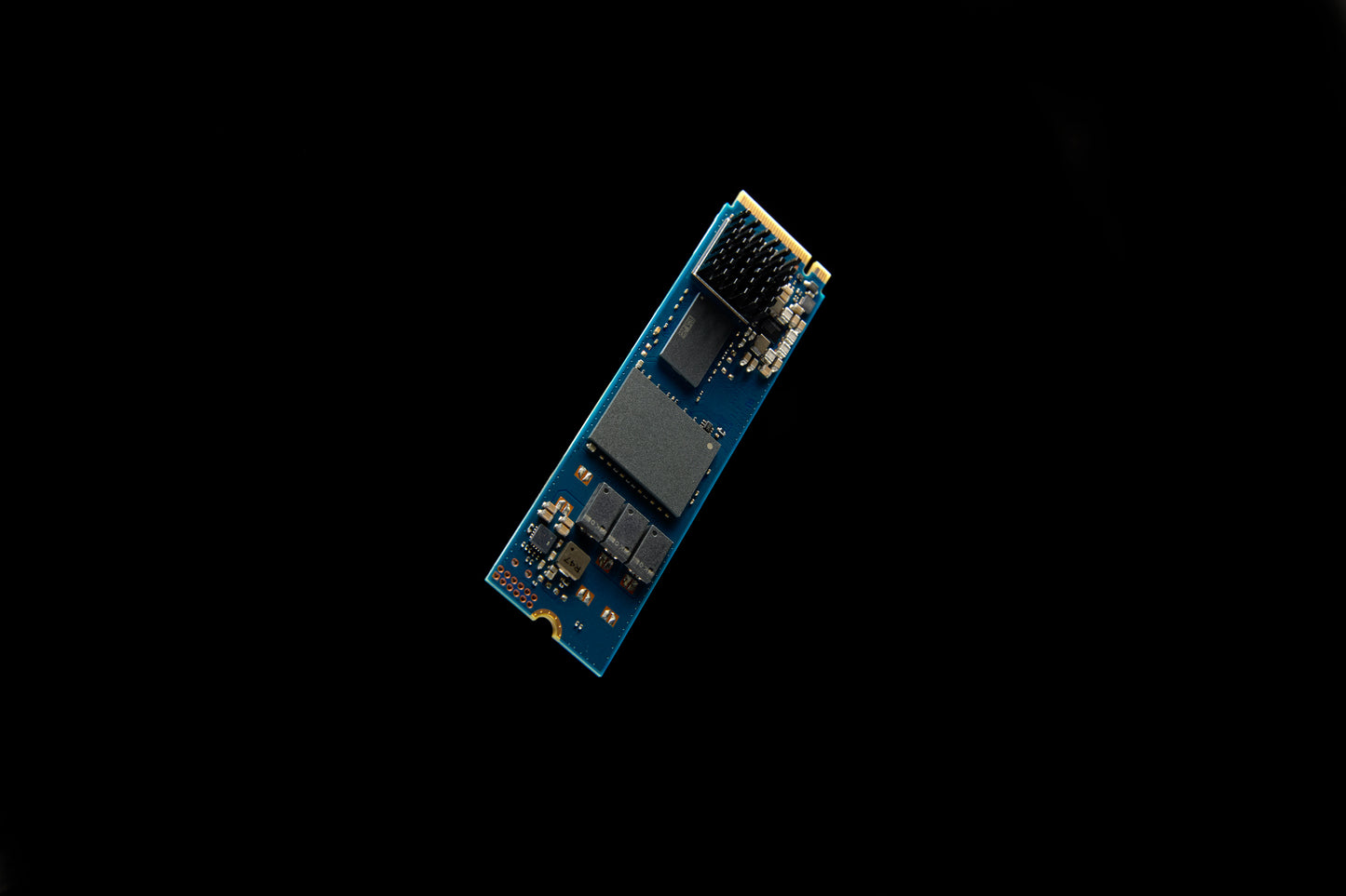 Kingston Technology DC2000B 960 GB M.2 PCI Express 4.0 NVMe 3D TLC