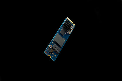 Kingston Technology DC2000B 480 GB M.2 PCI Express 4.0 NVMe 3D TLC