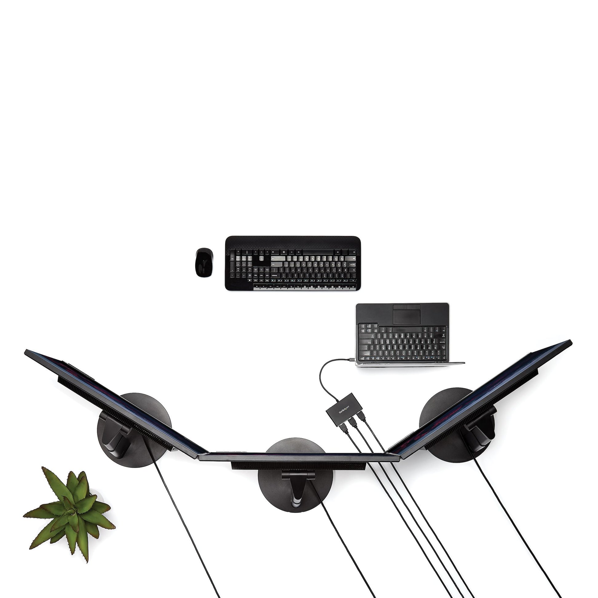 StarTech.com MSTDP123HD video splitter DisplayPort 3x HDMI