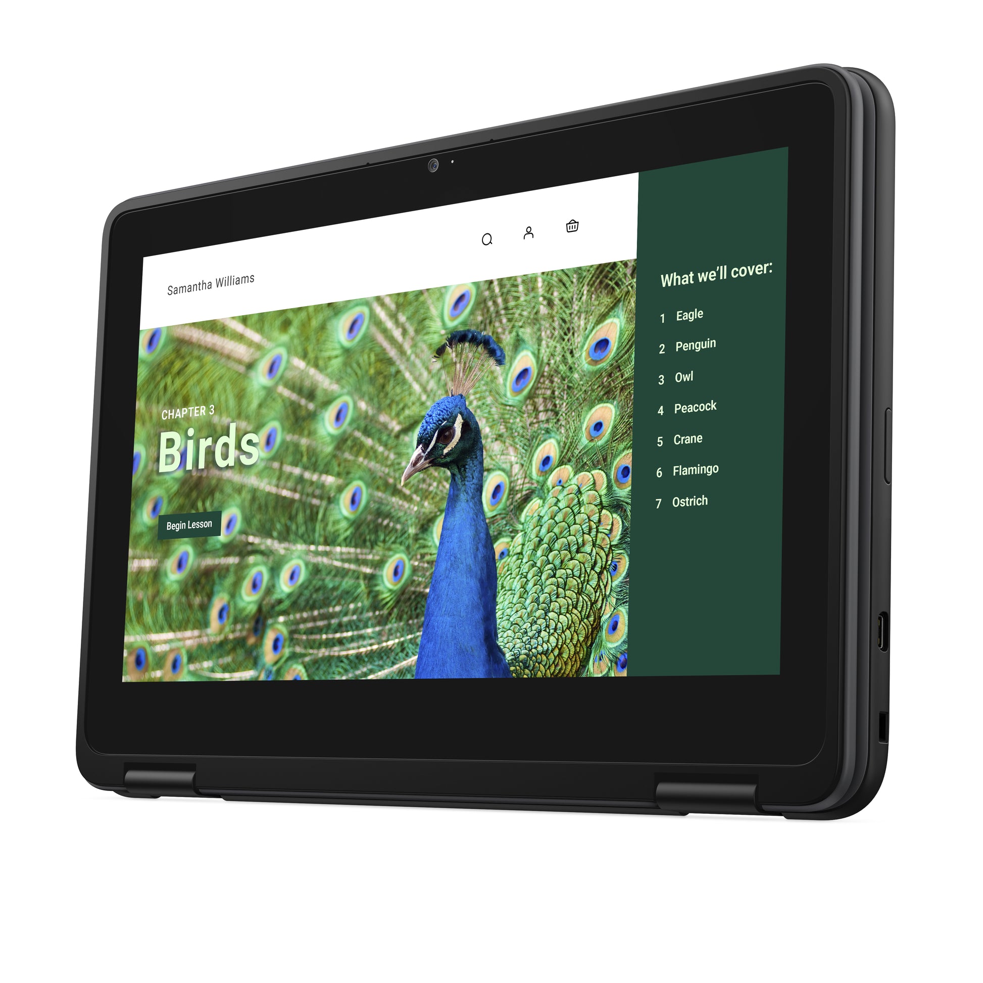 DELL Chromebook 3120 2-in-1 Intel® N N100 11.6" Touchscreen HD 4 GB LPDDR5-SDRAM 64 GB eMMC Wi-Fi 6 (802.11ax) ChromeOS Black