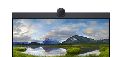 DELL P2424HEB 23.8" LCD 1920 x 1080 pixels Full HD