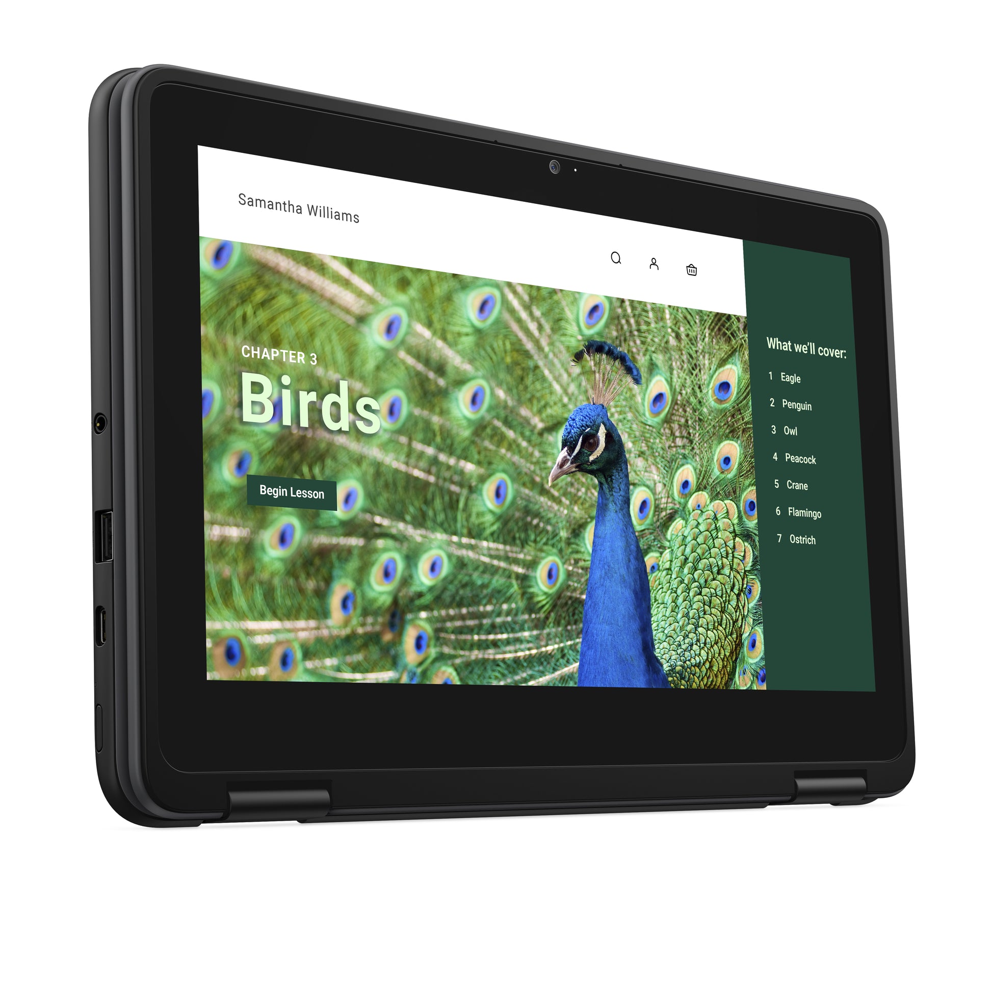DELL Chromebook 3120 2-in-1 Intel® N N100 11.6" Touchscreen HD 4 GB LPDDR5-SDRAM 64 GB eMMC Wi-Fi 6 (802.11ax) ChromeOS Black