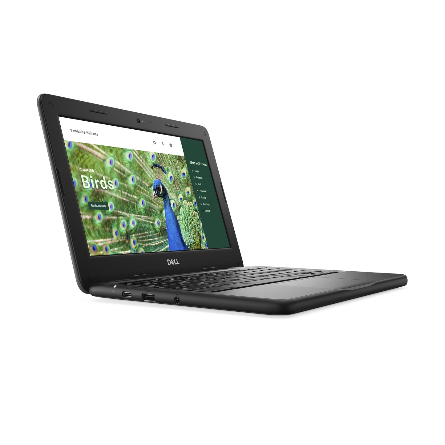 DELL Chromebook 3120 Intel® N N100 11.6" Touchscreen HD 8 GB 64 GB Flash Wi-Fi 6 (802.11ax) ChromeOS Black