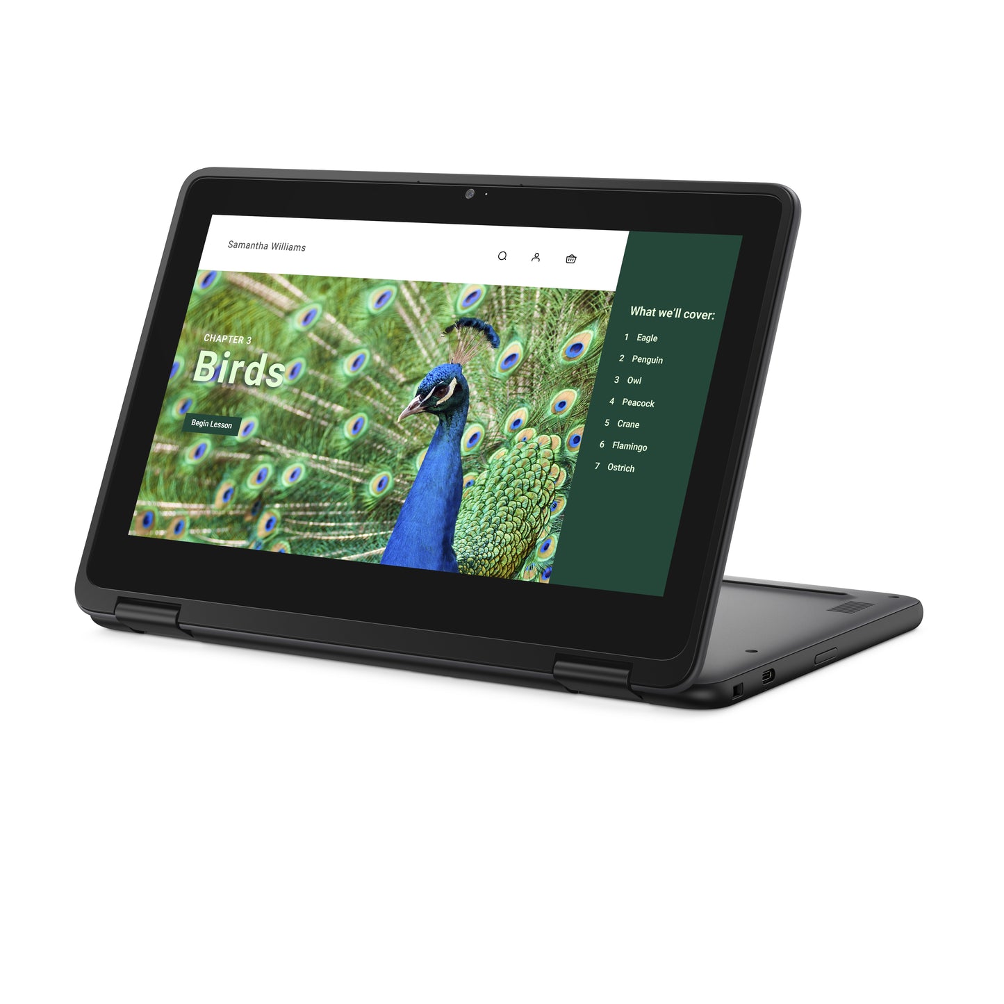 DELL Chromebook 3120 2-in-1 Intel® N N100 11.6" Touchscreen HD 4 GB LPDDR5-SDRAM 64 GB eMMC Wi-Fi 6 (802.11ax) ChromeOS Black